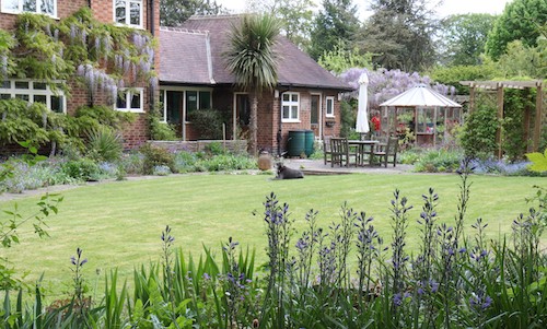Photo of the back garden