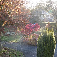 Late autumn colour at Charnwood