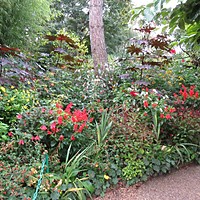 Monets garden